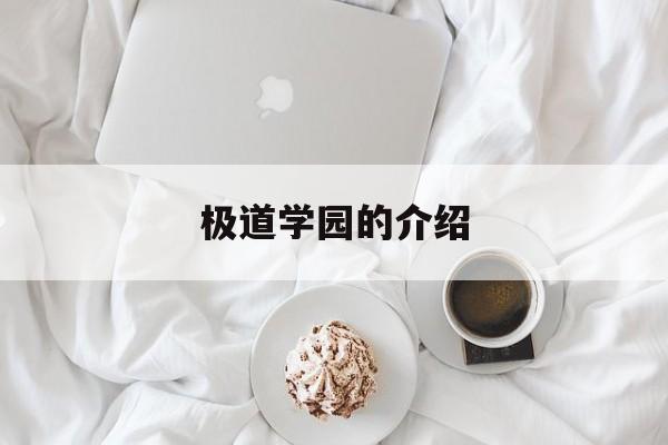 极道学园的介绍