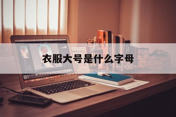 衣服大号是什么字母